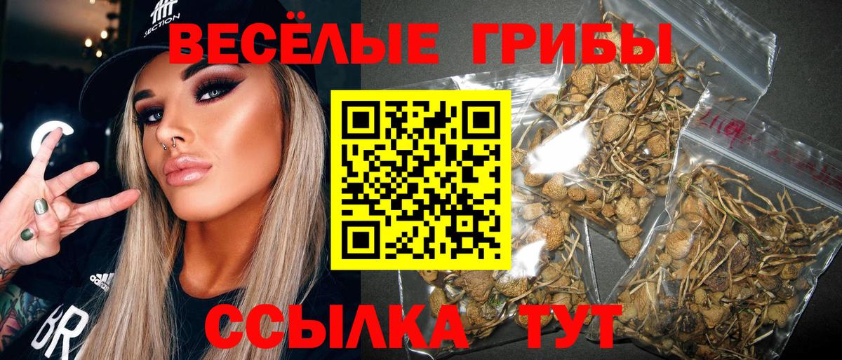 Кудрово  Псилоцибиновые грибы GOLDEN TEACHER  даркнет сайт  Вход с VPN  Галлюциногенные грибы MAGIC MUSHROOMS 
